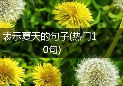 表示夏天的句子(热门10句)