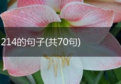 214的句子(共70句)