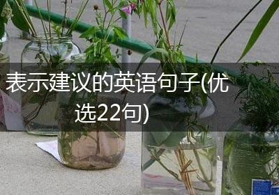 表示建议的英语句子(优选22句)