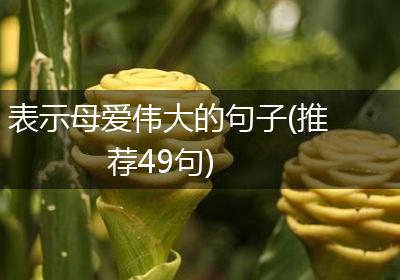 表示母爱伟大的句子(推荐49句)
