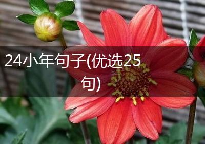 24小年句子(优选25句)