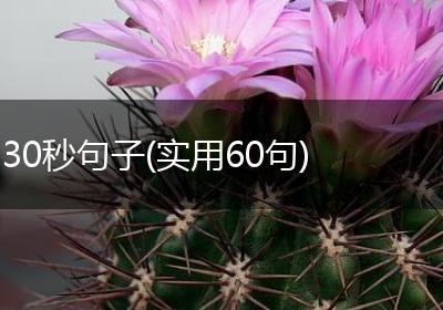 30秒句子(实用60句)