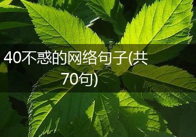 40不惑的网络句子(共70句)