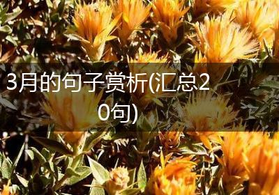 3月的句子赏析(汇总20句)