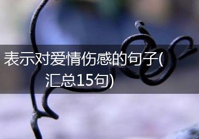 表示对爱情伤感的句子(汇总15句)