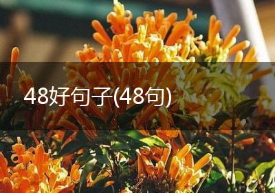 48好句子(48句)
