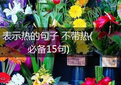 表示热的句子 不带热(必备15句)