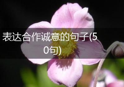 表达合作诚意的句子(50句)