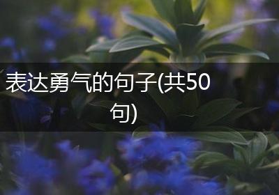 表达勇气的句子(共50句)