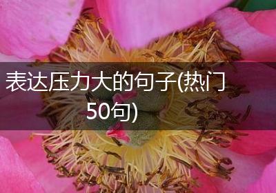 表达压力大的句子(热门50句)