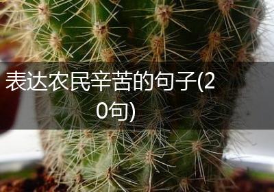 表达农民辛苦的句子(20句)