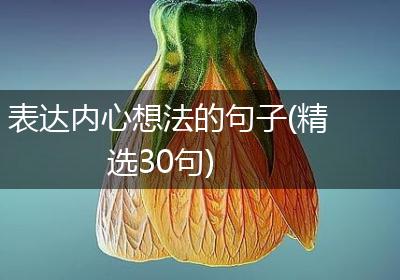 表达内心想法的句子(精选30句)