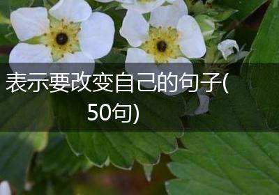 表示要改变自己的句子(50句)