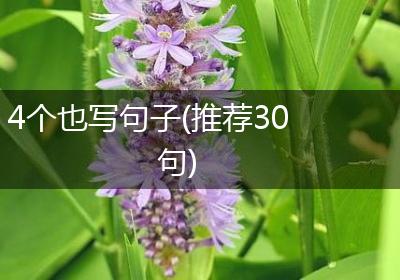 4个也写句子(推荐30句)