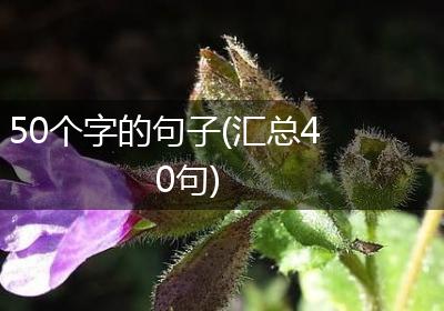 50个字的句子(汇总40句)