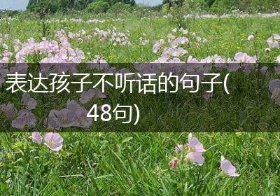 表达孩子不听话的句子(48句)