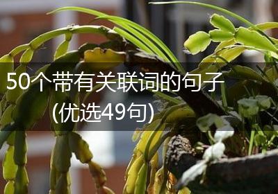 50个带有关联词的句子(优选49句)