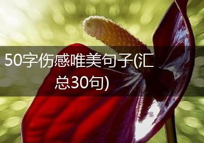 50字伤感唯美句子(汇总30句)