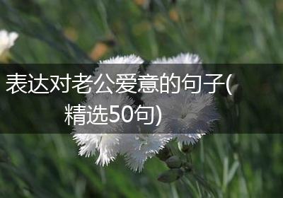 表达对老公爱意的句子(精选50句)