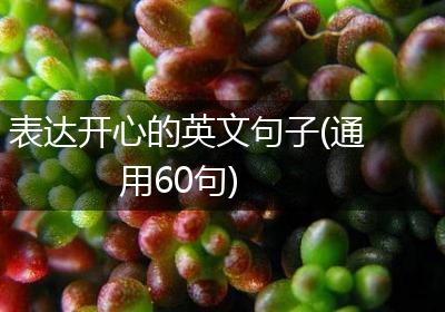 表达开心的英文句子(通用60句)