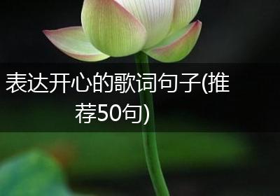 表达开心的歌词句子(推荐50句)