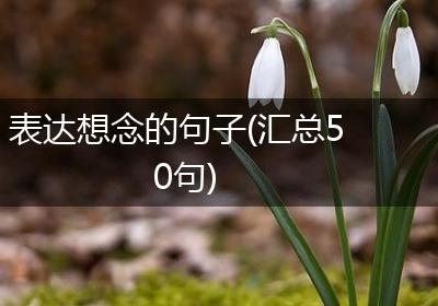 表达想念的句子(汇总50句)