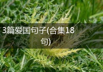 3篇爱国句子(合集18句)