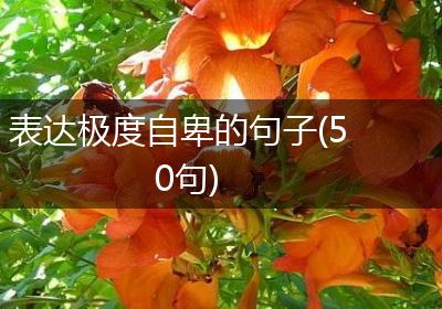 表达极度自卑的句子(50句)