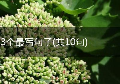 3个最写句子(共10句)