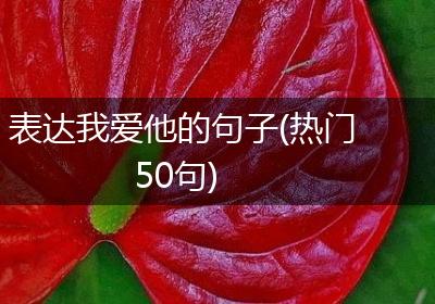 表达我爱他的句子(热门50句)