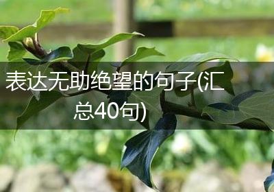 表达无助绝望的句子(汇总40句)
