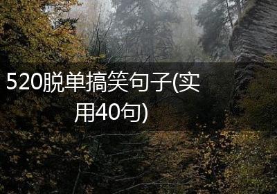 520脱单搞笑句子(实用40句)