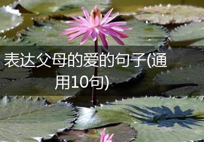 表达父母的爱的句子(通用10句)