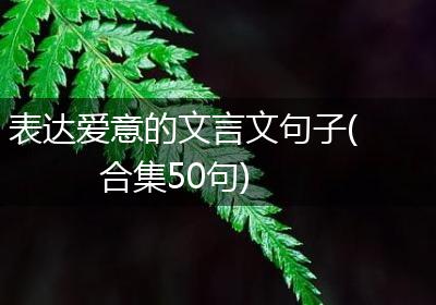 表达爱意的文言文句子(合集50句)