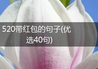 520带红包的句子(优选40句)