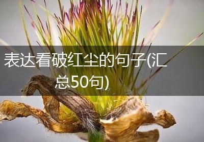 表达看破红尘的句子(汇总50句)