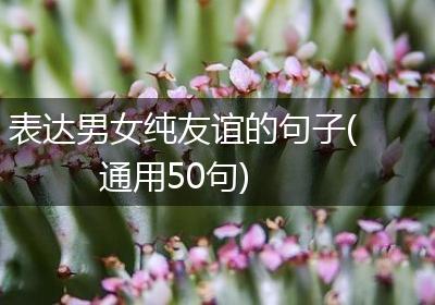 表达男女纯友谊的句子(通用50句)