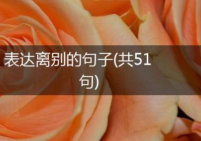 表达离别的句子(共51句)