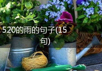520的雨的句子(15句)