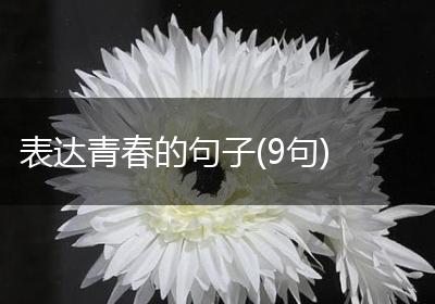 表达青春的句子(9句)