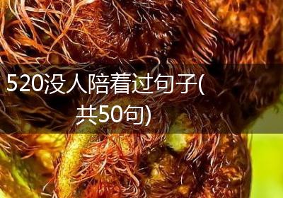 520没人陪着过句子(共50句)