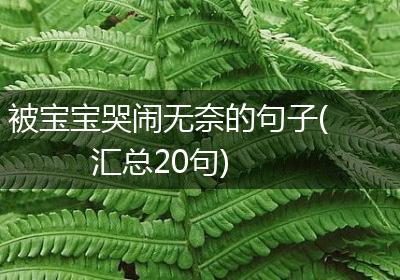 被宝宝哭闹无奈的句子(汇总20句)