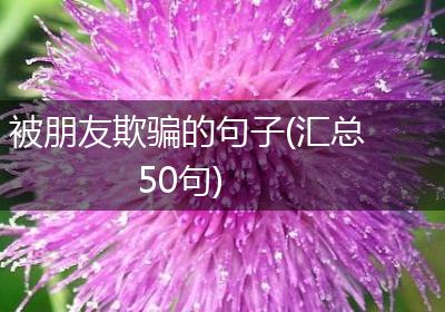 被朋友欺骗的句子(汇总50句)