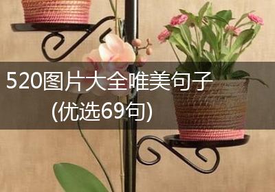 520图片大全唯美句子(优选69句)