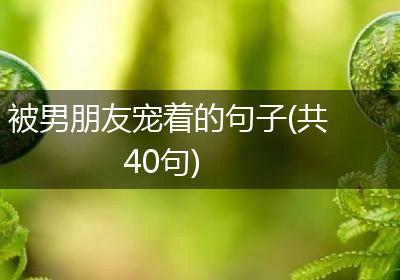被男朋友宠着的句子(共40句)