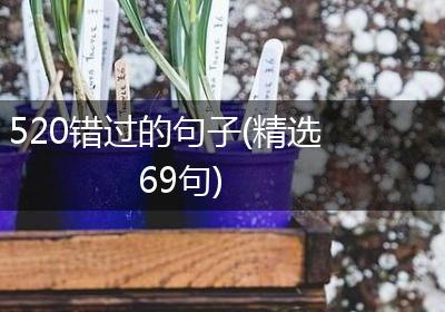 520错过的句子(精选69句)
