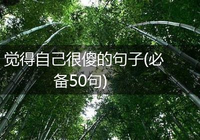 觉得自己很傻的句子(必备50句)