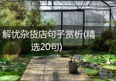 解忧杂货店句子赏析(精选20句)