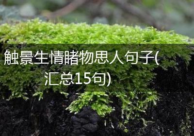 触景生情睹物思人句子(汇总15句)