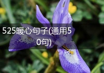 525暖心句子(通用50句)